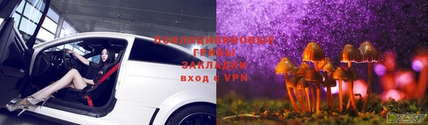 ECSTASY Богданович