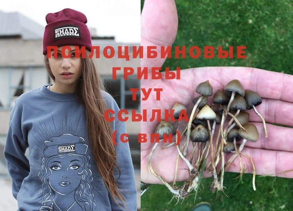 гашиш Богородск