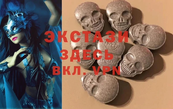 ECSTASY Богданович