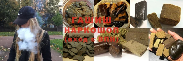 ECSTASY Богданович