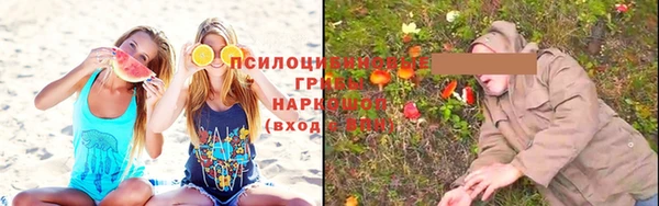 гашиш Богородск