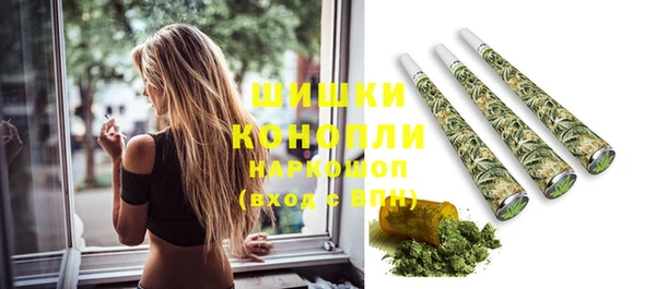 ECSTASY Богданович